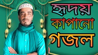 হৃদয় ছোঁয়া একটি গজল |আল্লা পানী নাই পানী নাই | Allah Pani Nai Pani Nai |Best Bangla Naate_e_rassol