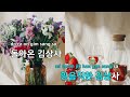 멜로디제거 월남에서 돌아온 김상사 김추자 ky.2495 ky karaoke