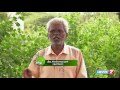 thazhuthaalai plant @ your herbal garden poovali news7 tamil