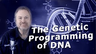 DNA: Genetic Programming