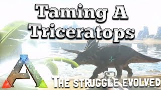 Ark: easiest way to tame a triceratops (Xbox one) beginners guide