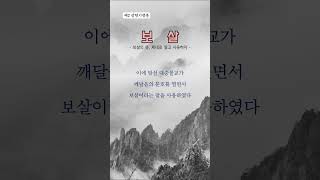 [금강경 톺아보기 7] '보살'의 뜻, 제대로 알고 사용하자 #불교 #마음공부 #부처님 #명상 #선현기청분