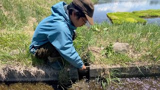 【田んぼ編 vol.10】水見の方法に関して