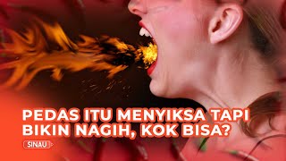 Mengapa Sensasi Pedas Bisa Bikin Ketagihan?