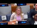 ireland s un youth delegates address the united nations 2024