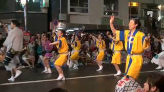 ２０１５　第５９回東京高円寺阿波踊り　　高円寺阿波おどり新若