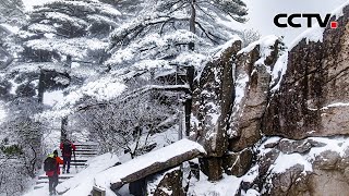 安徽：冬雪云海齐现 黄山迎新年首场降雪 |《中国新闻》CCTV中文国际