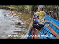 Fishing at the Black Snapper Monster Predator Spot in Kalimantan, Bait for Giant Prawns. fishing