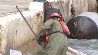 Cleanup continues after diesel fuel spills into Intracoastal Waterway