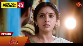 Singappenne - Promo | 24 May 2024  | Tamil Serial | Sun TV