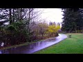 April Showers | 1 Hour of Rain and Birds