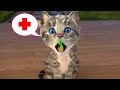 LITTLE KITTEN ADVENTURE - ADVENTUROUS JOURNEY OF A CUTE KITTEN AND ANIMAL FRIENDS