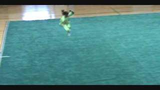 Vanessa Loza 2007 US Wushu Team Trials ChangQuan