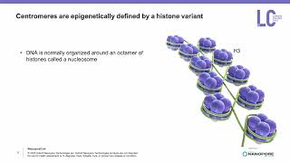 Telomere-to-telomere genome assembly reveals genomic and epigenetic features of karyotype radiation