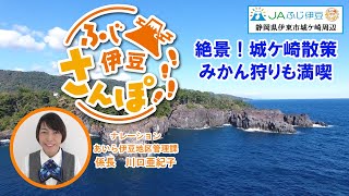 【さんぽ】絶景城ケ崎と絶品みかんジュース　城ケ崎海岸と城ケ崎オレンジ村