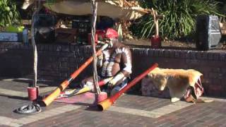 didgeridoo in Circular Quay