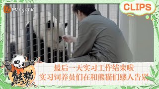 【精彩看点🐼】最后一天实习工作结束啦，实习饲养员们在和朝夕相处的熊猫们做一一告别，痛哭留恋｜《熊猫一家人Panda‘s Family》｜MangoTV