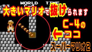 (スーマリ2)C-4のアソコを大きいマリオのまま抜ける！最難関C-4の攻略！大きいマリオだとムリゲーな凹のところのファイアバー抜けられるよ😊