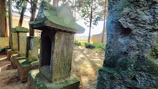 谷津吉春香取大神社【千葉県野田市谷津】Tanitsuyoshiharukatorio Shrine【Yatsu, Noda, Chiba】環境音/神社参拝