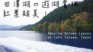 [日本|東北] 田澤湖(田沢湖) の遊湖賞楓 紅葉超美！Amazing Autumn Leaves at Lake Tazawa, Akita, Japan