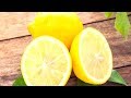 10 interesting facts about lemons