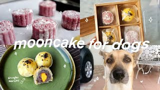 (doggo) mooncake 🥮 | making & packing shanghai + sweet potato mooncake | ginger vlog