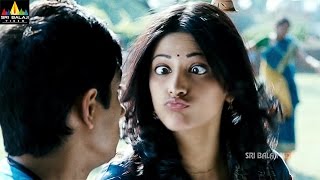 Oh My Friend Movie Siddharth & Sruthi Hassan Scenes | Siddharth, Hansika | Sri Balaji Video