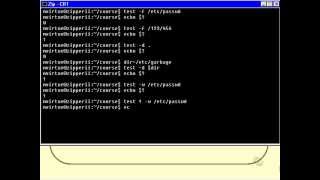 Unix Shell Scripting Conditional Code Part 8