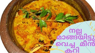 മാങ്ങ ഇട്ടുവെച്ച മീൻ കറി  / Mango fish curry Kerala style