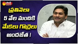 CM YS Jagan : ప్రతినెలా 5 వేల మందికి మేకలు గొర్రెలు అందజేత ! | Sakshi TV