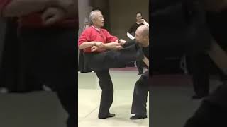 Masaaki Hatsumi - Keri \u0026 Nage  #martialarts #budo #bujutsu