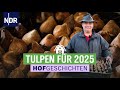 Vorbereitungen für die Tulpensaison | Hofgeschichten: Leben auf dem Land (308) | NDR