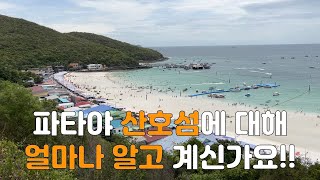 태국 파타야 산호섬에 대해 소소하지만 중요한 것들 알려드릴게요.(ep1)#thailand #pattaya #travel #산호섬