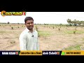 palm oil farming total details oil palm sagu in telugu ఆయిల్ ఫామ్ సాగు mana kisan tv