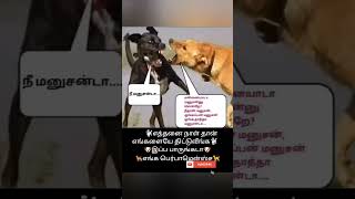 இப்ப பாரு எங்க பெர்ஃபார்மன்ஸ் #tamil#comedy  #dog  #youtubeshorts