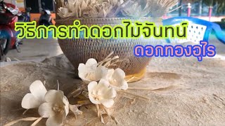 การประดิษฐ์ดอกไม้จันทน์ (ดอกทองอุไร)