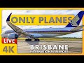 🔴 LIVE PLANE SPOTTING TILL SUNSET @ BNE / YBBN / BRISBANE Airport w/ Matty + ATC ✈️