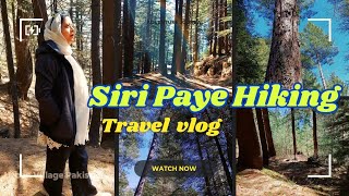 Siri Paye Hiking | Kiwai and Shogran journey | KPK Northern Areas of Pakistan 🇵🇰  EP 9-2 Travel Vlog