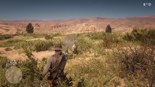 Red Dead Redemption 2 - Cougar Attack