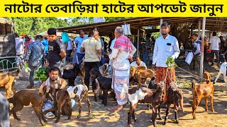 নাটোর তেবাড়িয়া হাটের আপডেট ছোট বড় ক্রস ছাগলের দাম জানুন #goat