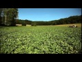 Terres de France - Melon du Quercy