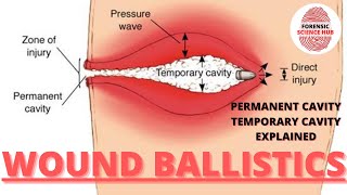 Wound ballistics | Temporary and permanent cavity | Forensic ballistics