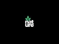 Custom Logo Animation in After Effects | Nature Leaf Animation | After Effects Tutorial