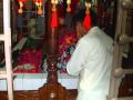 Download sehwan halanda se song .wmv In Mp4 3Gp Full HD Video