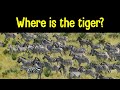 Find the Animal Game | Can you find the hidden animals?