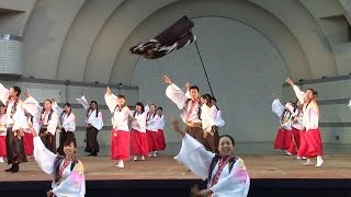 白鷺童子 原宿表参道元氣祭 スーパーよさこい2016