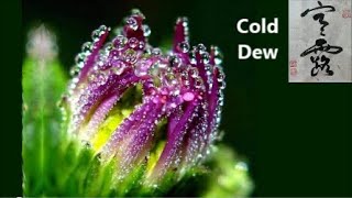 Cold Dew 寒露 (English narration), Seasonal Living, Part 17