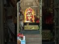 முருகனின் தைப்பூச விரதம் முறை 🙏🏻💥💐🇸🇬 murugan shortvideo singapore muruga tamil india temple