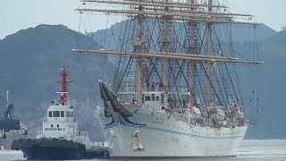 航海練習大型帆船 海王丸 《 KaiwoMaru 》 細島港入港⚓ @宮崎県日向市