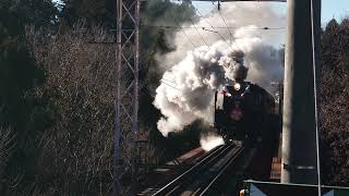 2022.01.01元旦 秩父鉄道 初詣SLパレオエクスプレス号 浦山口駅通過！